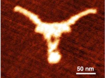 nanoscale longhorn logo