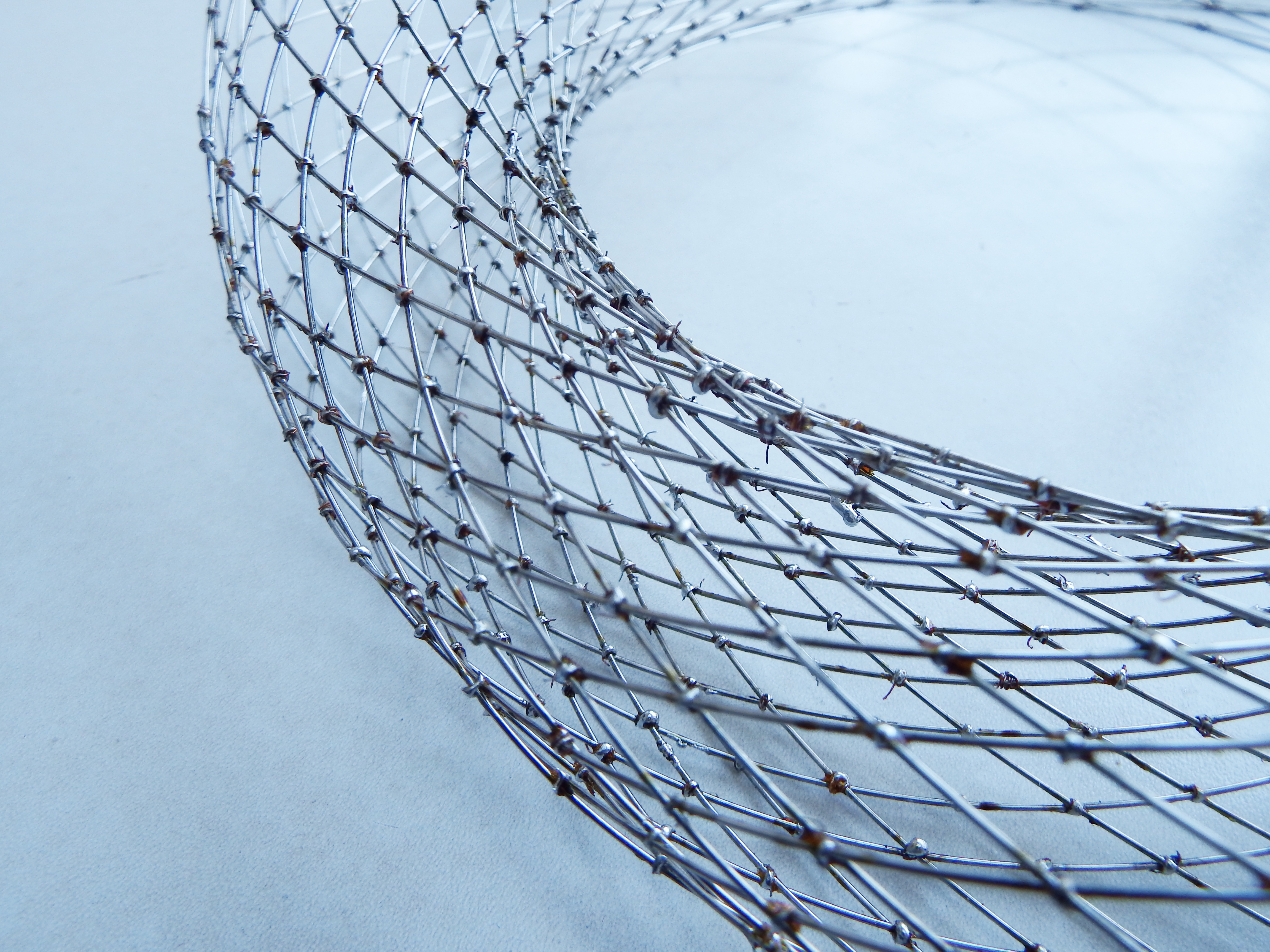 curved wireframe