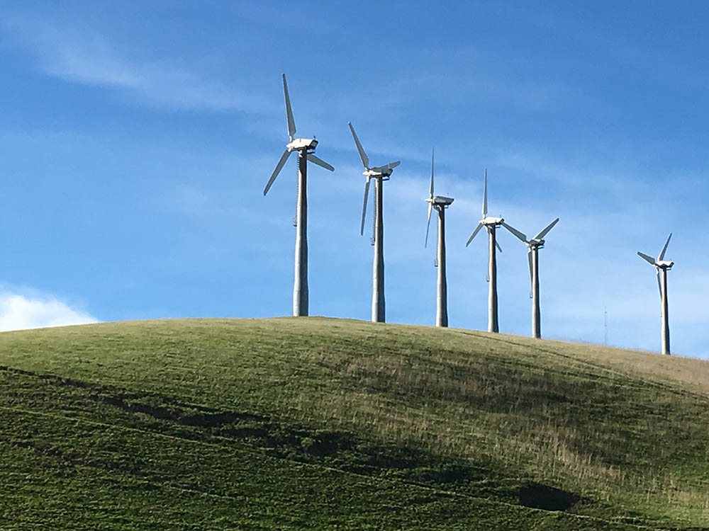 wind turbines on green grass