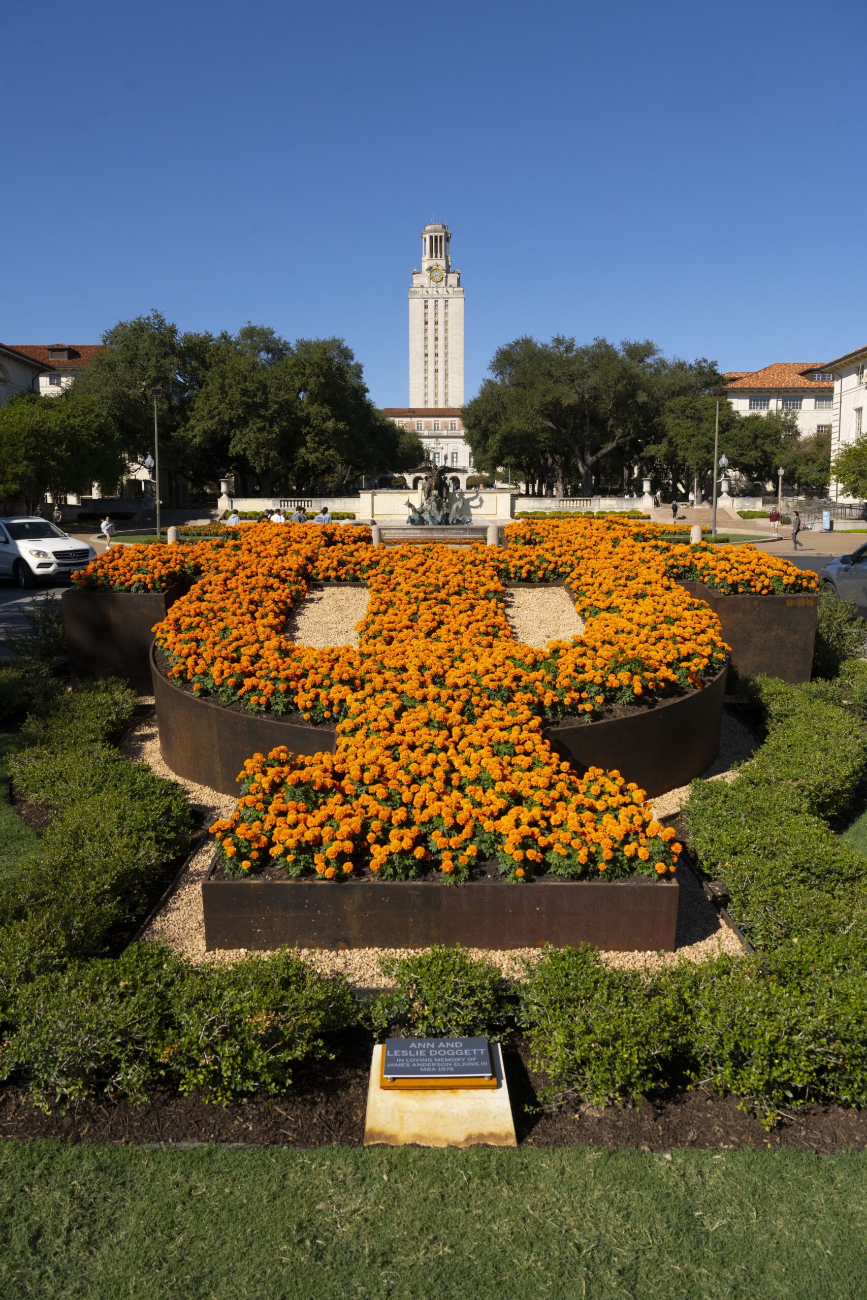 Tower and University Ave orange flowers
