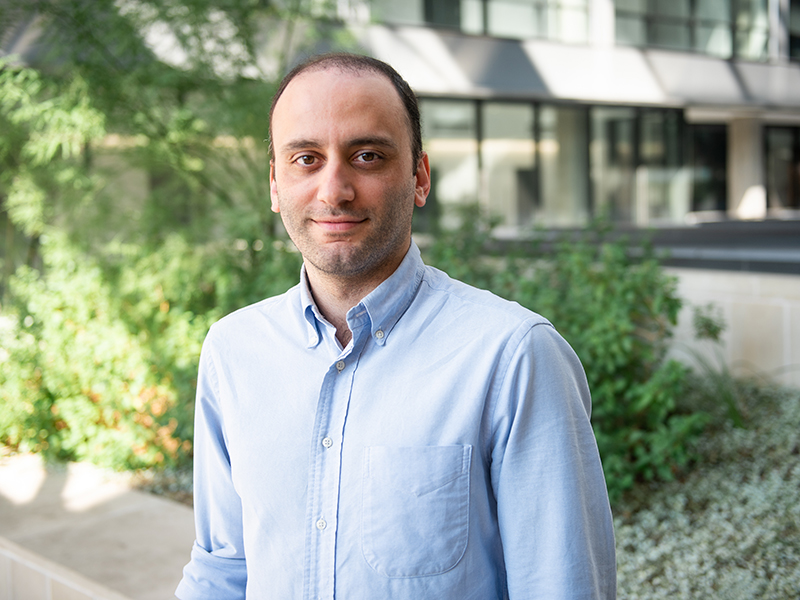 Mehran Tehrani